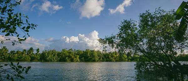 每日大赛51观众最在意的关键判定，争议焦点复盘更能说服人一拆就懂，其实答案很简单（完整版）