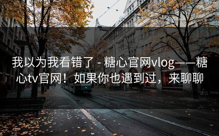 我以为我看错了 - 糖心官网vlog——糖心tv官网！如果你也遇到过，来聊聊